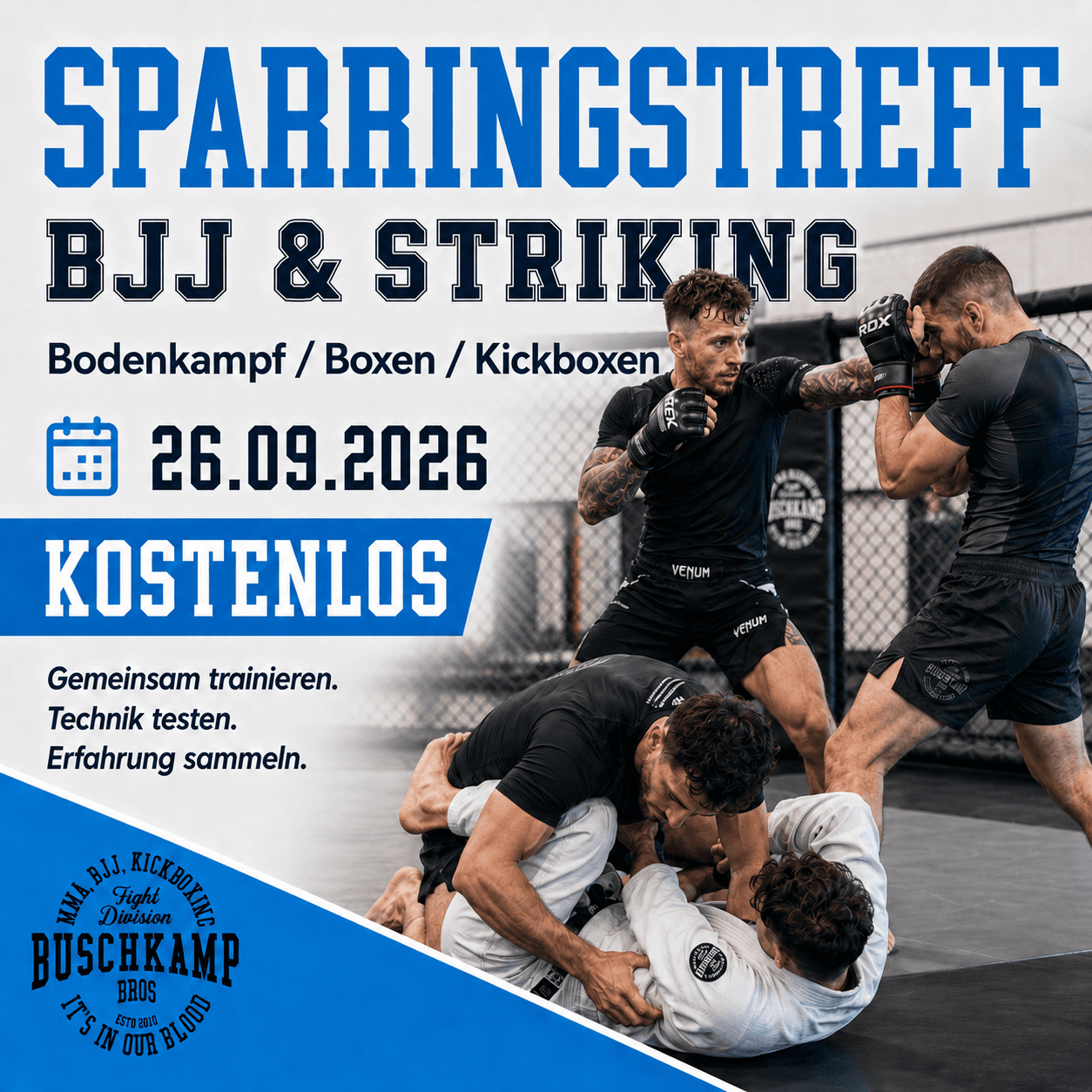 Sparringstreff: BJJ & Striking – Open Sparring